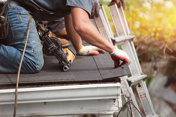Best Roof Gutter Cleaning  in Avondale, LA